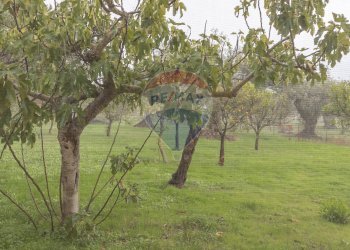 Giardino - Casa indipendente C.da Dicchiara
 
sn, Chiaramonte Gulfi - foto 25