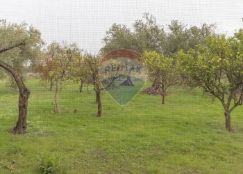 Giardino - Casa indipendente C.da Dicchiara
 
sn, Chiaramonte Gulfi - foto 26