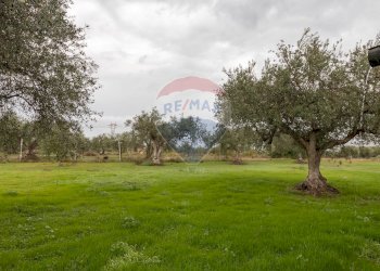 Giardino - Casa indipendente C.da Dicchiara
 
sn, Chiaramonte Gulfi - foto 29