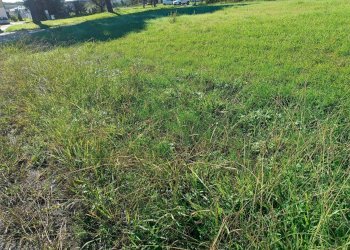 Foto 6 - Terreno edificabile Via Aiale, Castelfranco di Sotto - foto 6