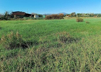 Foto 11 - Terreno edificabile Via Aiale, Castelfranco di Sotto - foto 11