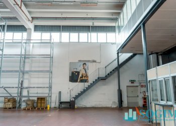 Capannone_2 - Capannone Via Giovanni Paolo II
 
1, Colverde - foto 5