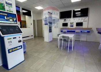 Ufficio - Locale Commerciale Viale Aldo Moro
85-87, Triggiano - foto 2