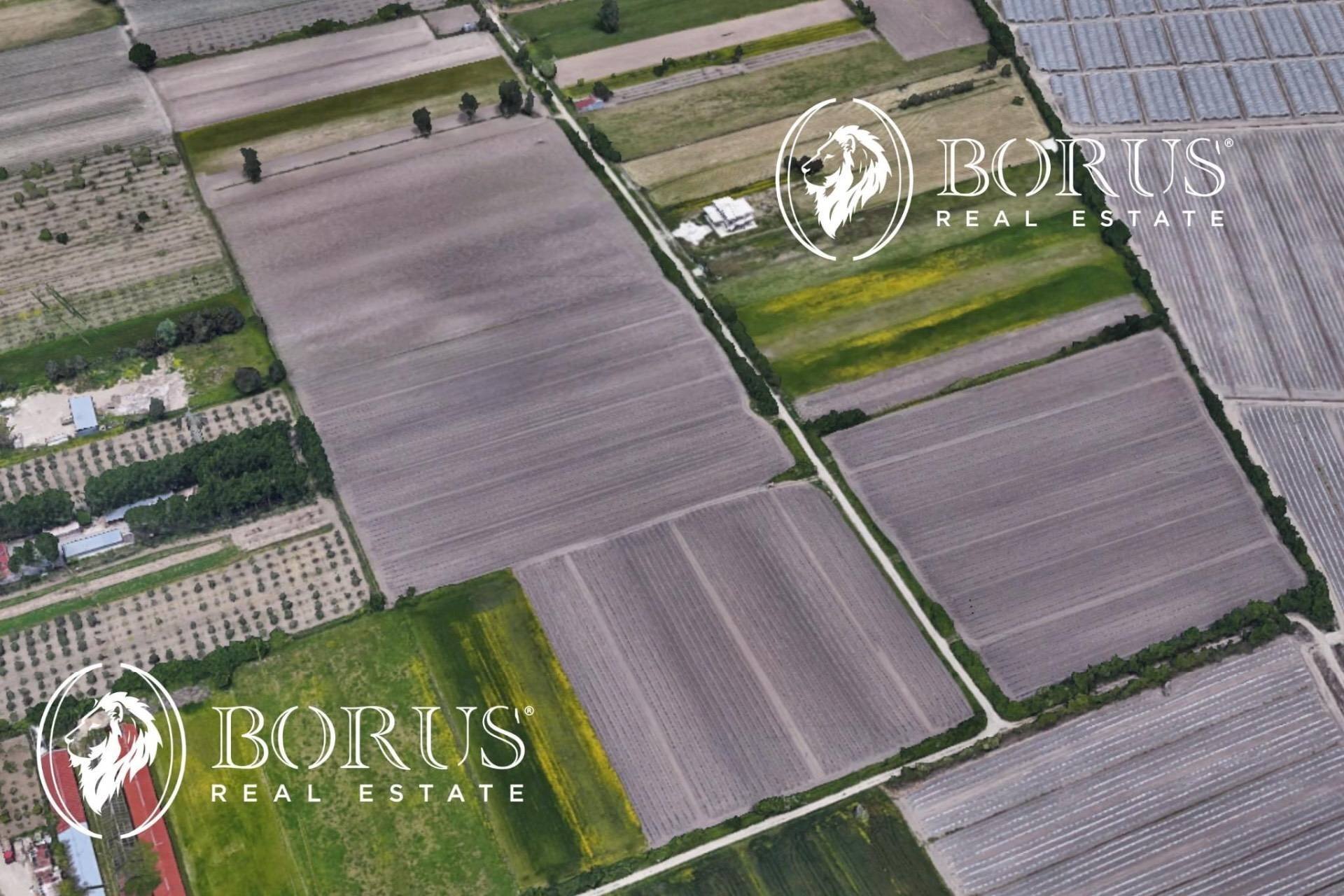 Foto 1 - Terreno agricolo San Tammaro - foto 1