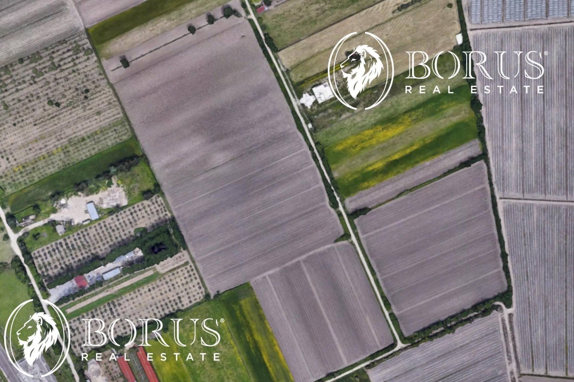 Foto 2 - Terreno agricolo San Tammaro - foto 2