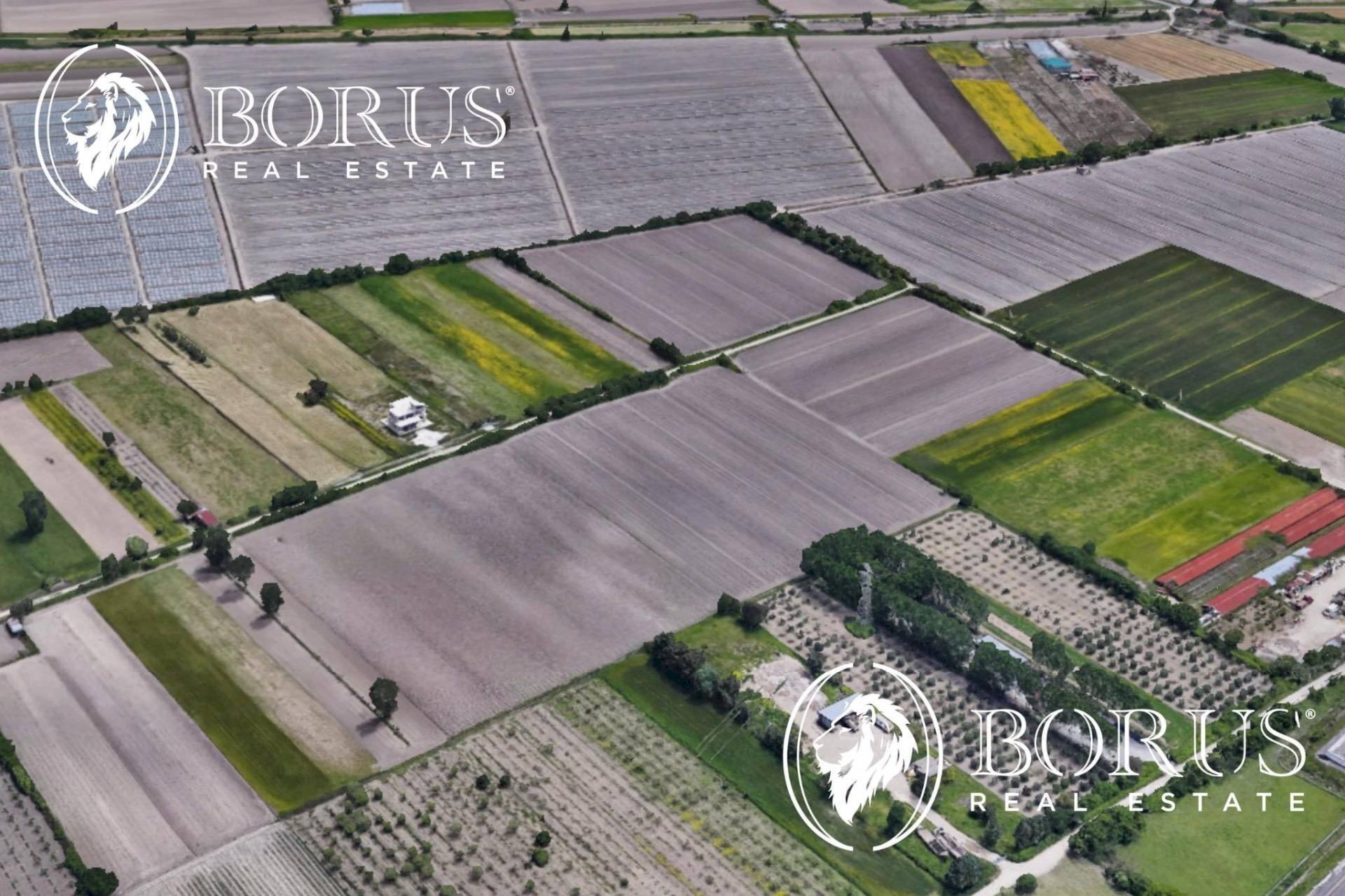 Foto 3 - Terreno agricolo San Tammaro - foto 3