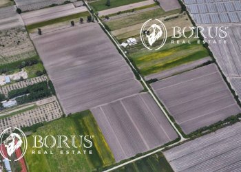 Foto 1 - Terreno agricolo San Tammaro - foto 1