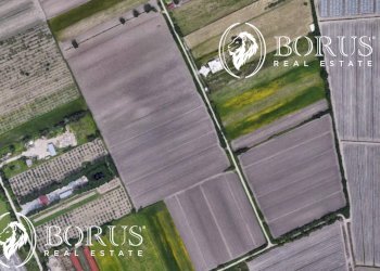 Foto 2 - Terreno agricolo San Tammaro - foto 2