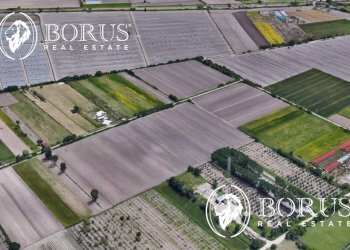 Foto 3 - Terreno agricolo San Tammaro - foto 3