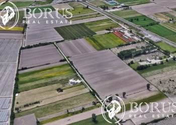 Foto 5 - Terreno agricolo San Tammaro - foto 5