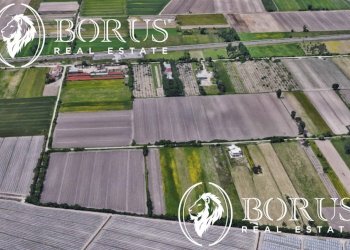 Foto 7 - Terreno agricolo San Tammaro - foto 7