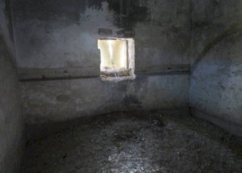 Cantina - Rustic via Alessandro Scarlatti, 61, Statte - photo 8