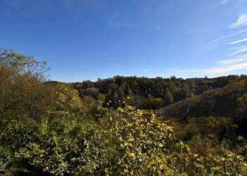 Vista - Villa a Schiera via Collina Forni, Montaldo Scarampi - foto 14