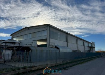 Foto 2 - Capannone Strada delle Alpi
 
9, Carrù - foto 2