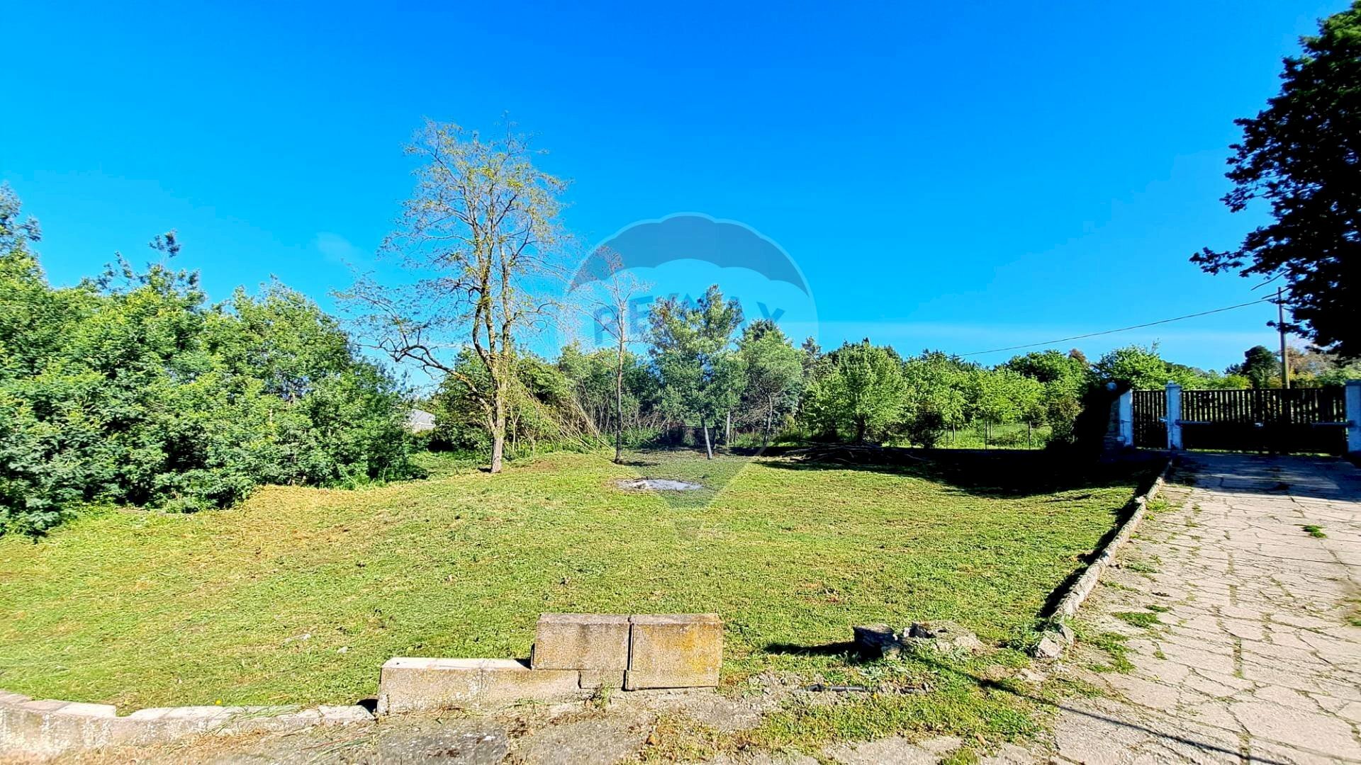 Giardino - Terreno agricolo Via Della Falcognana
 
61, Roma - foto 1