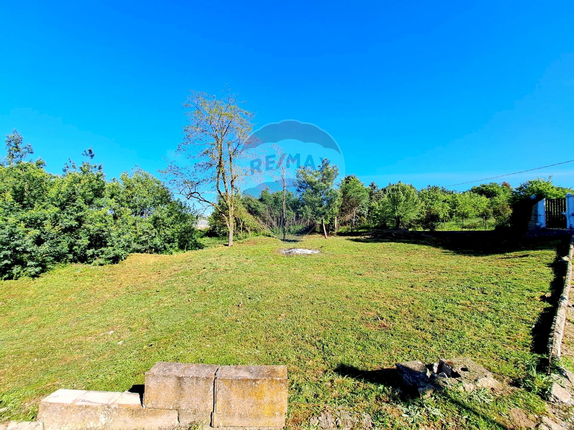 Giardino - Terreno agricolo Via Della Falcognana
 
61, Roma - foto 3