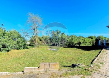 Giardino - Terreno agricolo Via Della Falcognana
 
61, Roma - foto 1