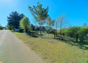 Giardino - Terreno agricolo Via Della Falcognana
 
61, Roma - foto 2