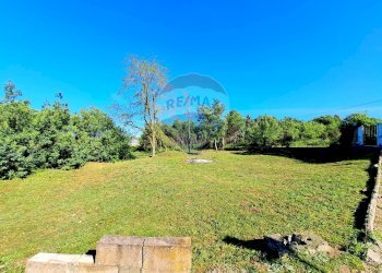 Giardino - Terreno agricolo Via Della Falcognana
 
61, Roma - foto 3