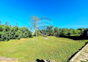 Giardino - Terreno agricolo Via Della Falcognana
 
61, Roma - foto 4