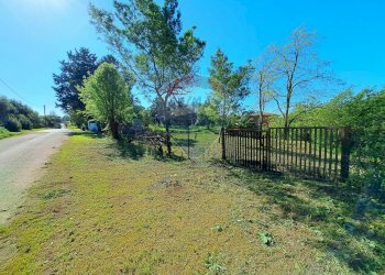 Giardino - Terreno agricolo Via Della Falcognana
 
61, Roma - foto 5