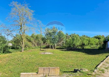 Giardino - Terreno agricolo Via Della Falcognana
 
61, Roma - foto 6