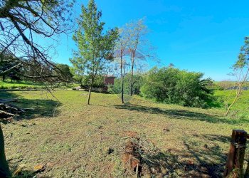 Giardino - Terreno agricolo Via Della Falcognana
 
61, Roma - foto 7