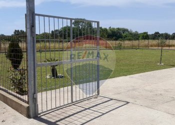 Giardino - Terreno agricolo Via Isillo
 
40, Roma - foto 8