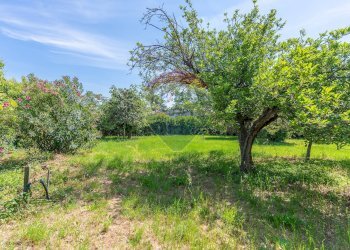 Giardino - Villa Via del Divino Amore
 
2, Marino - photo 48