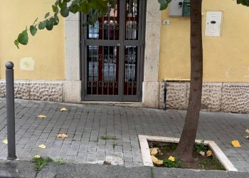 Foto 18 - Bilocale Via Guglielmo Marconi
 
140, Campobasso - foto 18