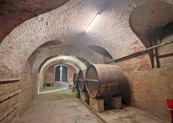Cantina - Rustic piazza Guglielmo Marconi, 14, Portacomaro - photo 24