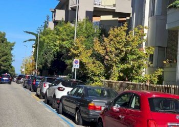 img-20251029-wa0001 - Appartamento Ancona - foto 22