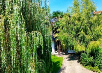 Giardino - Villa Borgata Brandini, La Morra - foto 46