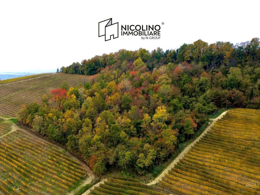 Terreno - Terreno agricolo Regione Rocca Croera, La Morra - foto 1