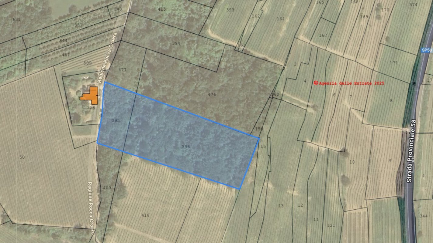 Terreno agricolo Regione Rocca Croera, La Morra - planimetria 1