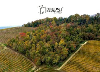 Terreno - Terreno agricolo Regione Rocca Croera, La Morra - foto 1