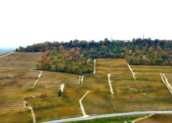 Terreno - Terreno agricolo Regione Rocca Croera, La Morra - foto 7
