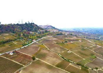 Vista - Terreno agricolo Regione Rocca Croera, La Morra - foto 9