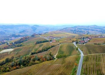 Vista - Terreno agricolo Regione Rocca Croera, La Morra - foto 18