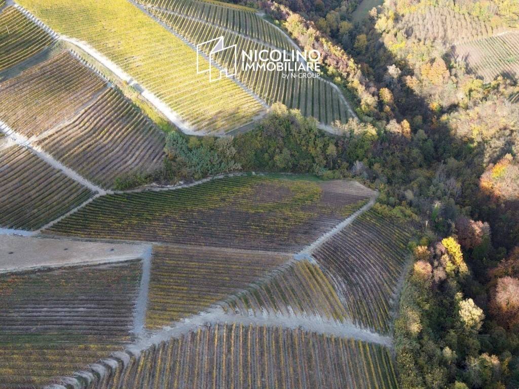 Terreno - Terreno agricolo via Roma, Serralunga d'Alba - foto 1