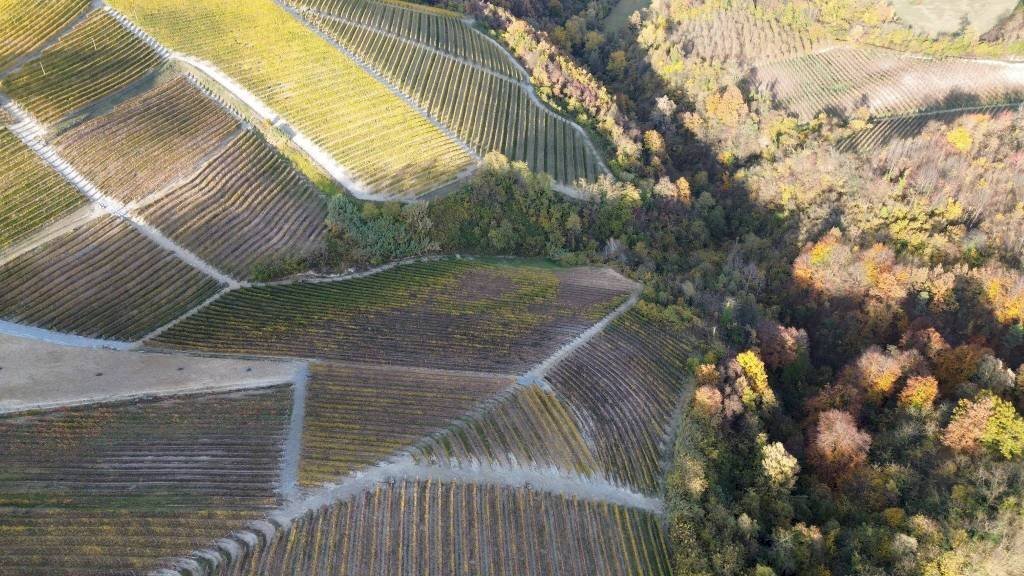 Terreno - Terreno agricolo via Roma, Serralunga d'Alba - foto 2