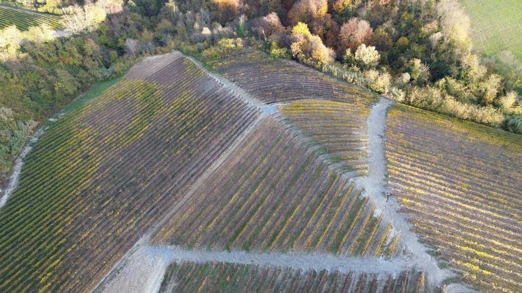 Terreno - Terreno agricolo via Roma, Serralunga d'Alba - foto 3