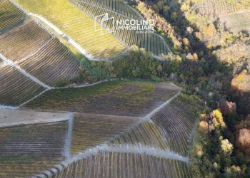 Terreno - Agricultural land via Roma, Serralunga d'Alba - photo 1