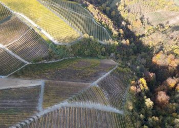 Terreno - Agricultural land via Roma, Serralunga d'Alba - photo 2