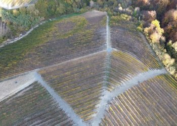 Terreno - Agricultural land via Roma, Serralunga d'Alba - photo 4