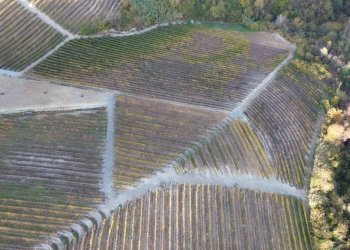 Terreno - Agricultural land via Roma, Serralunga d'Alba - photo 5