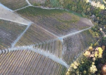 Terreno - Agricultural land via Roma, Serralunga d'Alba - photo 6