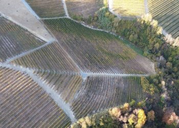 Terreno - Agricultural land via Roma, Serralunga d'Alba - photo 7