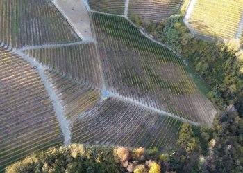Terreno - Agricultural land via Roma, Serralunga d'Alba - photo 8