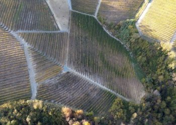 Terreno - Agricultural land via Roma, Serralunga d'Alba - photo 9